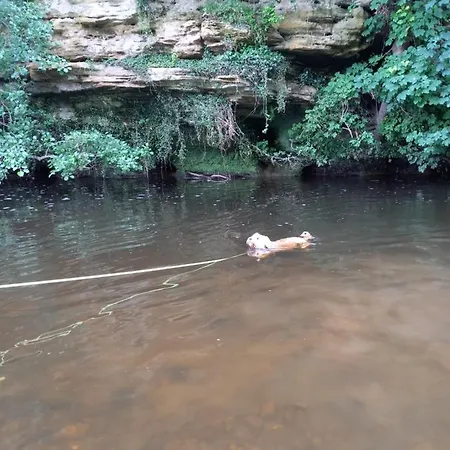 Nala