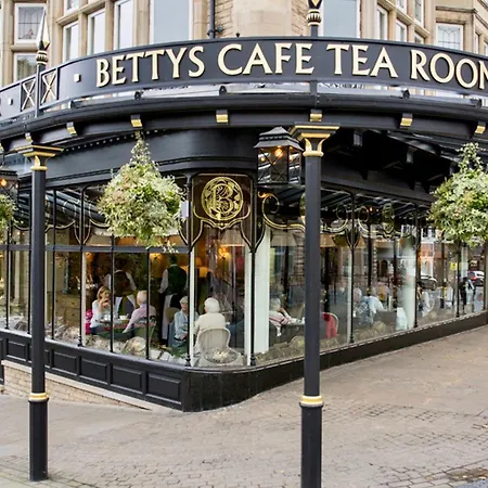 Nala * Knaresborough