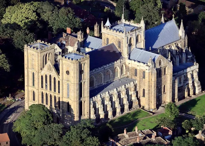 Nala * Knaresborough