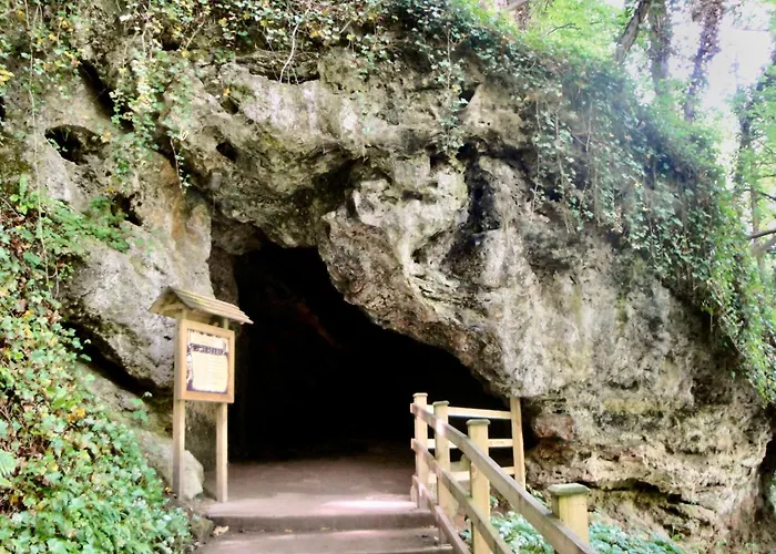 Nala * Knaresborough