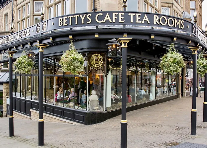 Nala * Knaresborough