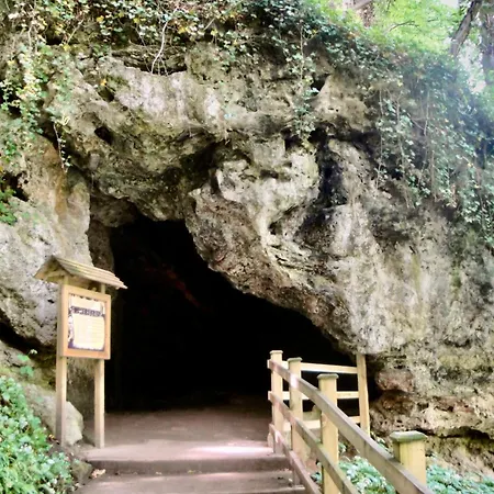 Nala * Knaresborough